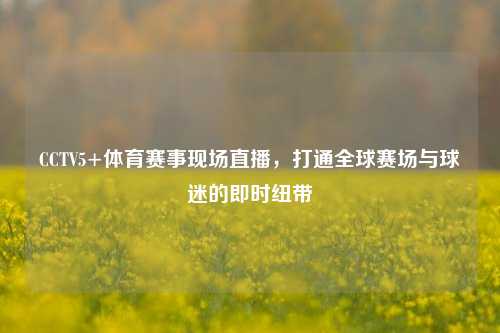 CCTV5+体育赛事现场直播，打通全球赛场与球迷的即时纽带