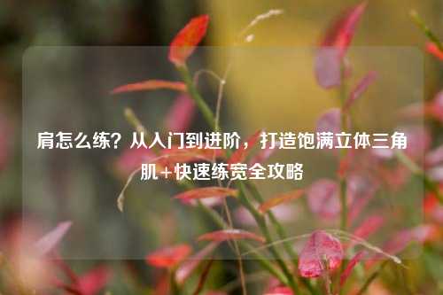 肩怎么练？从入门到进阶，打造饱满立体三角肌+快速练宽全攻略