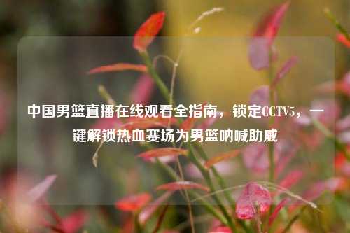 中国男篮直播在线观看全指南,锁定CCTV5,一键解锁热血赛场为男篮呐喊助威