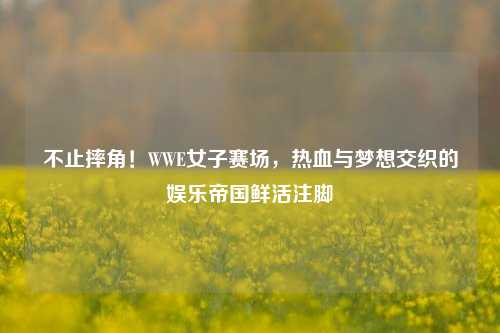 不止摔角！WWE女子赛场，热血与梦想交织的娱乐帝国鲜活注脚