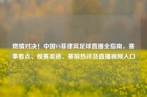 燃情对决！中国VS菲律宾足球直播全指南，赛事看点、观赛渠道、赛前热评及直播视频入口