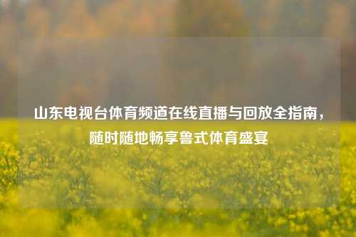 山东电视台体育频道在线直播与回放全指南,随时随地畅享鲁式体育盛宴