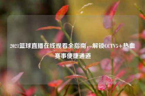 2021篮球直播在线观看全指南，解锁CCTV5+热血赛事便捷通道