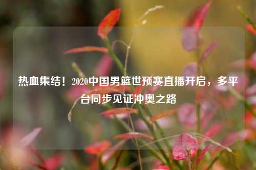 热血集结！2020中国男篮世预赛直播开启，多平台同步见证冲奥之路