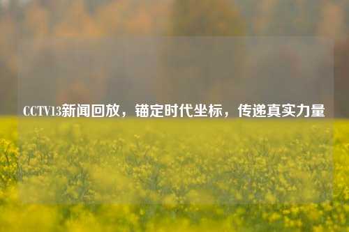 CCTV13新闻回放，锚定时代坐标，传递真实力量