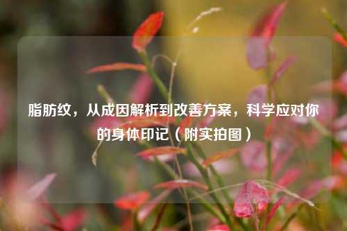 脂肪纹，从成因解析到改善方案，科学应对你的身体印记（附实拍图）