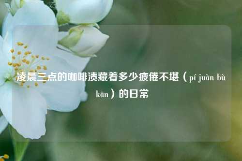 凌晨三点的咖啡渍藏着多少疲倦不堪（pí juàn bù kān）的日常