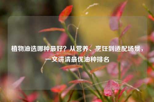 植物油选哪种最好？从营养、烹饪到适配场景，一文讲清最优油种排名