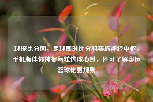 球探比分网，足球即时比分的赛场神经中枢，手机版伴你捕捉每粒进球心跳，还可了解奥运篮球比赛规则