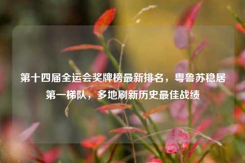 第十四届全运会奖牌榜最新排名，粤鲁苏稳居第一梯队，多地刷新历史最佳战绩