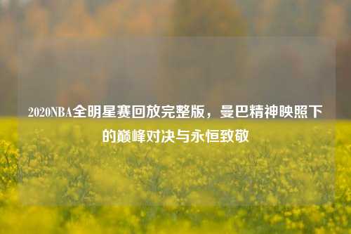2020NBA全明星赛回放完整版,曼巴精神映照下的巅峰对决与永恒致敬