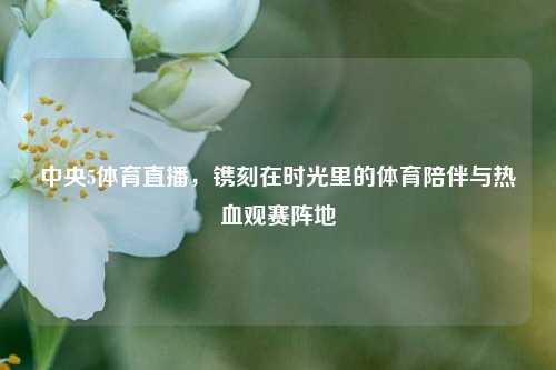 中央5体育直播，镌刻在时光里的体育陪伴与热血观赛阵地