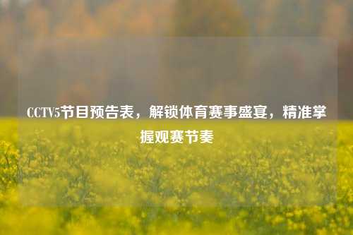 CCTV5节目预告表,解锁体育赛事盛宴,精准掌握观赛节奏
