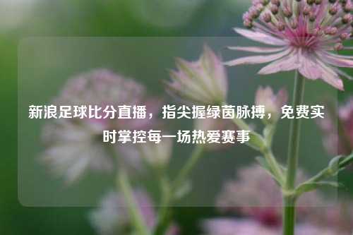 新浪足球比分直播，指尖握绿茵脉搏，免费实时掌控每一场热爱赛事