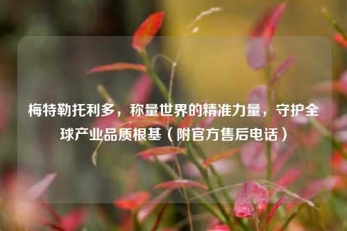 梅特勒托利多，称量世界的精准力量，守护全球产业品质根基（附官方售后电话）