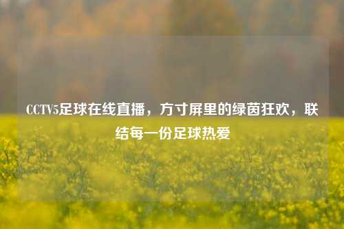 CCTV5足球在线直播，方寸屏里的绿茵狂欢，联结每一份足球热爱