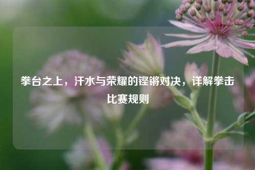 拳台之上，汗水与荣耀的铿锵对决，详解拳击比赛规则