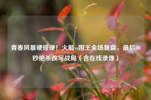 青春风暴硬碰硬！火箭vs国王全场复盘，最后30秒绝杀改写战局（含在线录像）