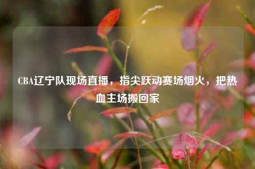 CBA辽宁队现场直播,指尖跃动赛场烟火,把热血主场搬回家