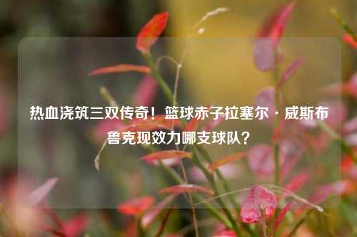 热血浇筑三双传奇!篮球赤子拉塞尔·威斯布鲁克现效力哪支球队?
