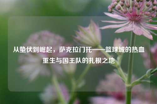 从蛰伏到崛起，萨克拉门托——篮球城的热血重生与国王队的扎根之地