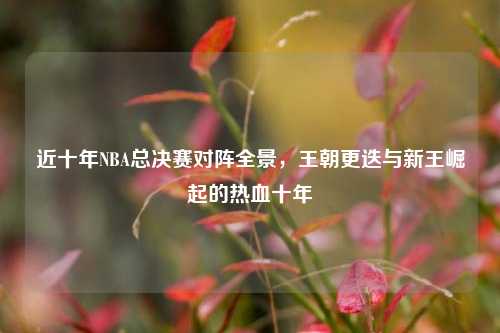 近十年NBA总决赛对阵全景，王朝更迭与新王崛起的热血十年