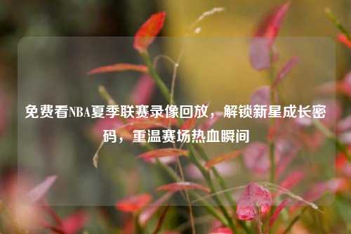 免费看NBA夏季联赛录像回放，解锁新星成长密码，重温赛场热血瞬间
