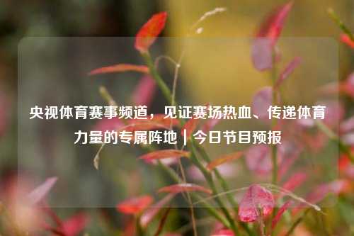 央视体育赛事频道，见证赛场热血、传递体育力量的专属阵地｜今日节目预报