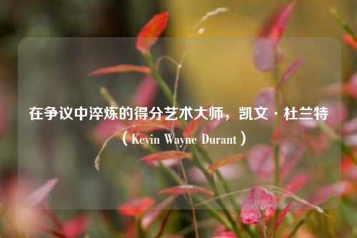 在争议中淬炼的得分艺术大师，凯文·杜兰特（Kevin Wayne Durant）