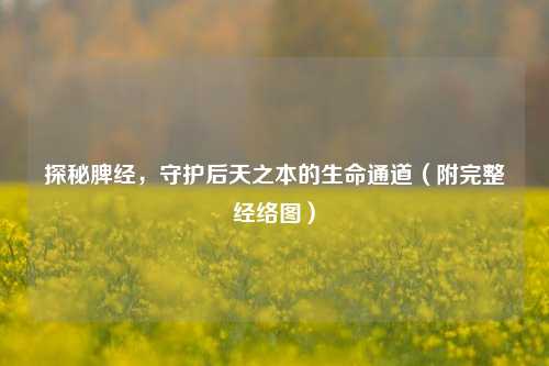 探秘脾经，守护后天之本的生命通道（附完整经络图）