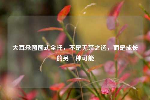 大耳朵图图式全托，不是无奈之选，而是成长的另一种可能