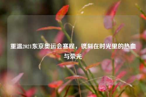 重温2021东京奥运会赛程,镌刻在时光里的热血与荣光