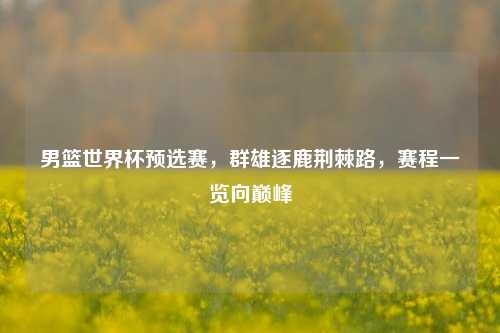 男篮世界杯预选赛，群雄逐鹿荆棘路，赛程一览向巅峰