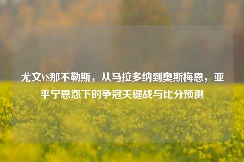 尤文VS那不勒斯,从马拉多纳到奥斯梅恩,亚平宁恩怨下的争冠关键战与比分预测