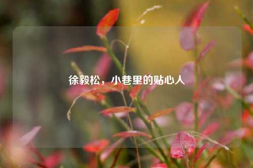 徐毅松，小巷里的贴心人