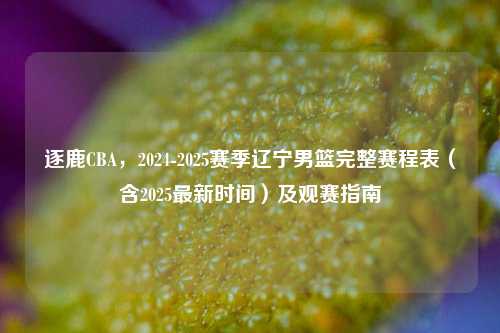 逐鹿CBA，2024-2025赛季辽宁男篮完整赛程表（含2025最新时间）及观赛指南
