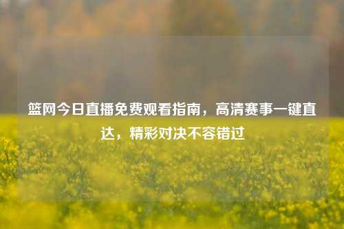 篮网今日直播免费观看指南,高清赛事一键直达,精彩对决不容错过