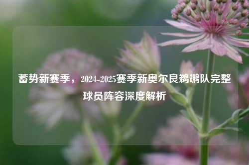 蓄势新赛季，2024-2025赛季新奥尔良鹈鹕队完整球员阵容深度解析