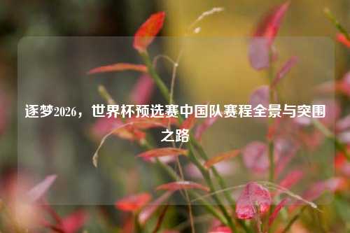 逐梦2026，世界杯预选赛中国队赛程全景与突围之路