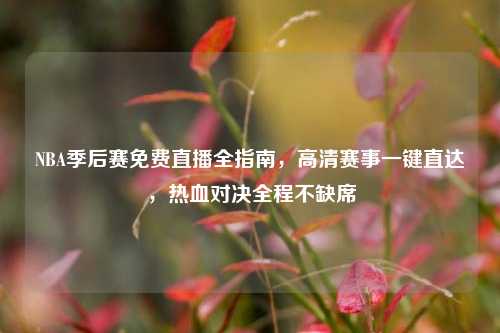 NBA季后赛免费直播全指南，高清赛事一键直达，热血对决全程不缺席