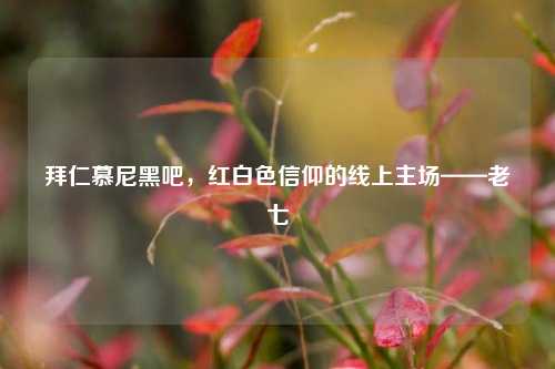 拜仁慕尼黑吧，红白色信仰的线上主场——老七