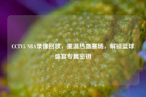 CCTV5 NBA录像回放，重温热血赛场，解锁篮球盛宴专属密钥