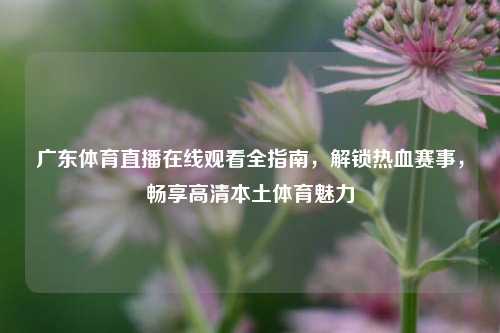 广东体育直播在线观看全指南,解锁热血赛事,畅享高清本土体育魅力