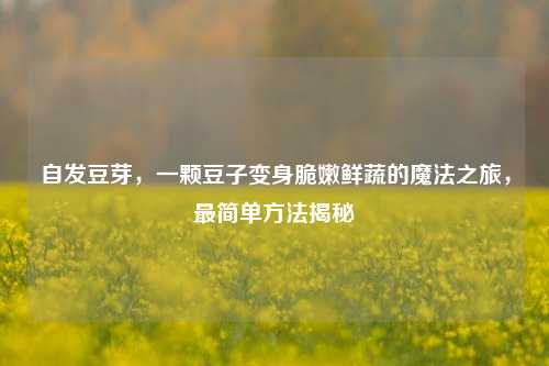 自发豆芽，一颗豆子变身脆嫩鲜蔬的魔法之旅，最简单方法揭秘