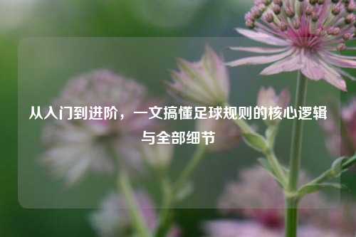 从入门到进阶，一文搞懂足球规则的核心逻辑与全部细节