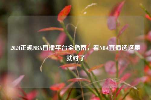 2024正规NBA直播平台全指南,看NBA直播选这里就对了