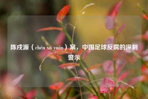 陈戌源（chén xū yuán）案，中国足球反腐的深刻警示