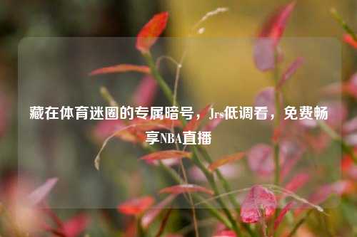 藏在体育迷圈的专属暗号,Jrs低调看,免费畅享NBA直播