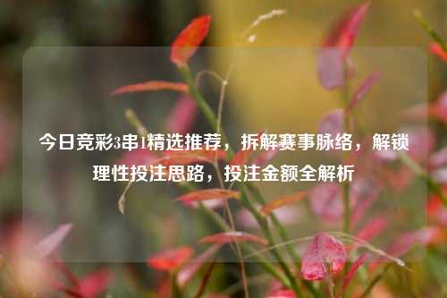 今日竞彩3串1精选推荐，拆解赛事脉络，解锁理性投注思路，投注金额全解析