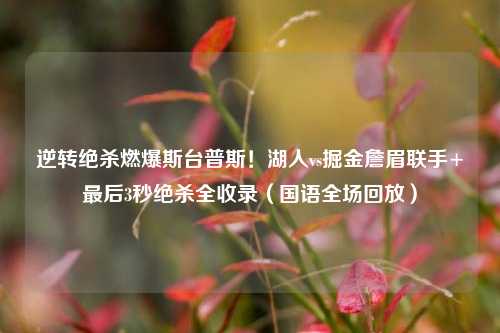 逆转绝杀燃爆斯台普斯！湖人vs掘金詹眉联手+最后3秒绝杀全收录（国语全场回放）